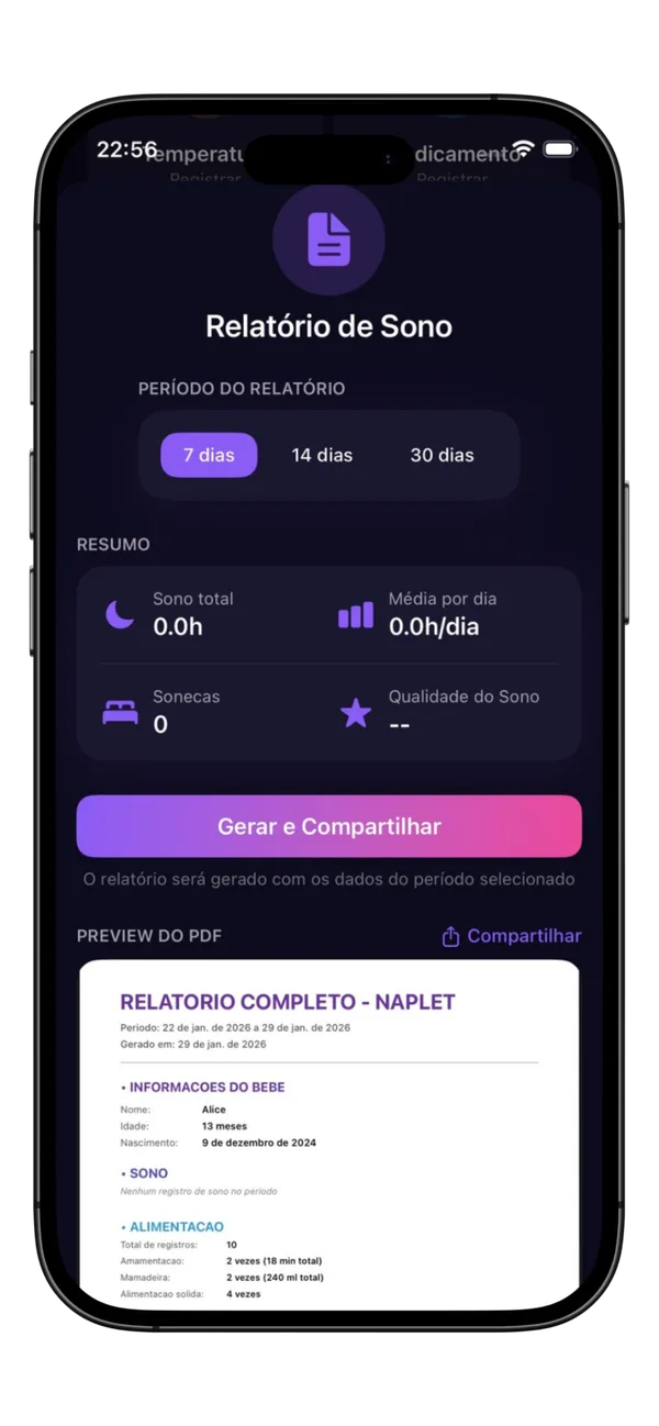 Relatório PDF